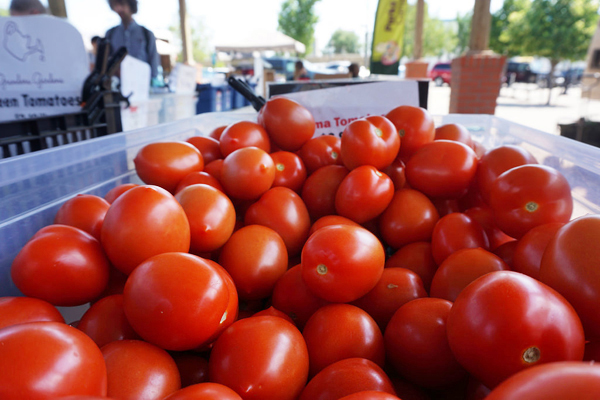 Tomatoes at the Saskatoon farmers market, in Canada